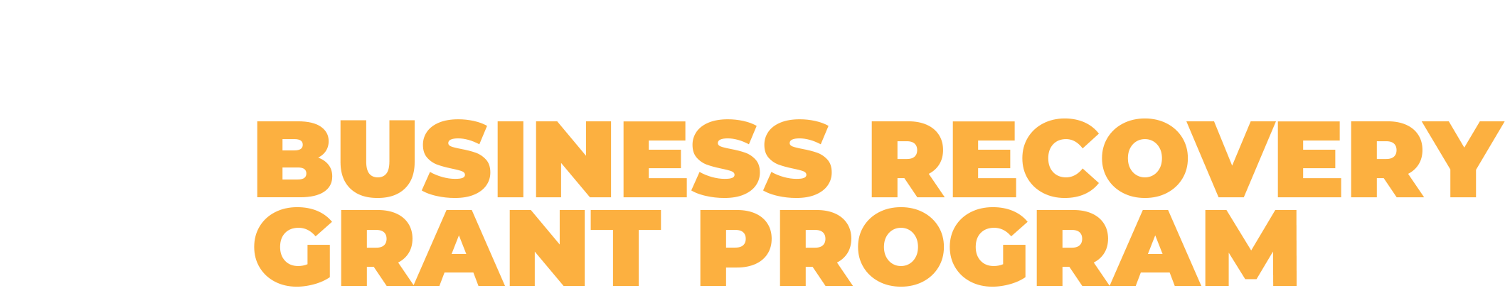 logo-white NM Business Recovery Grant Program Logo